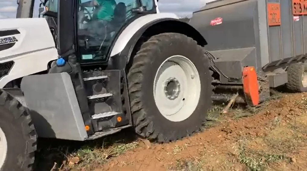 Triturando olivos